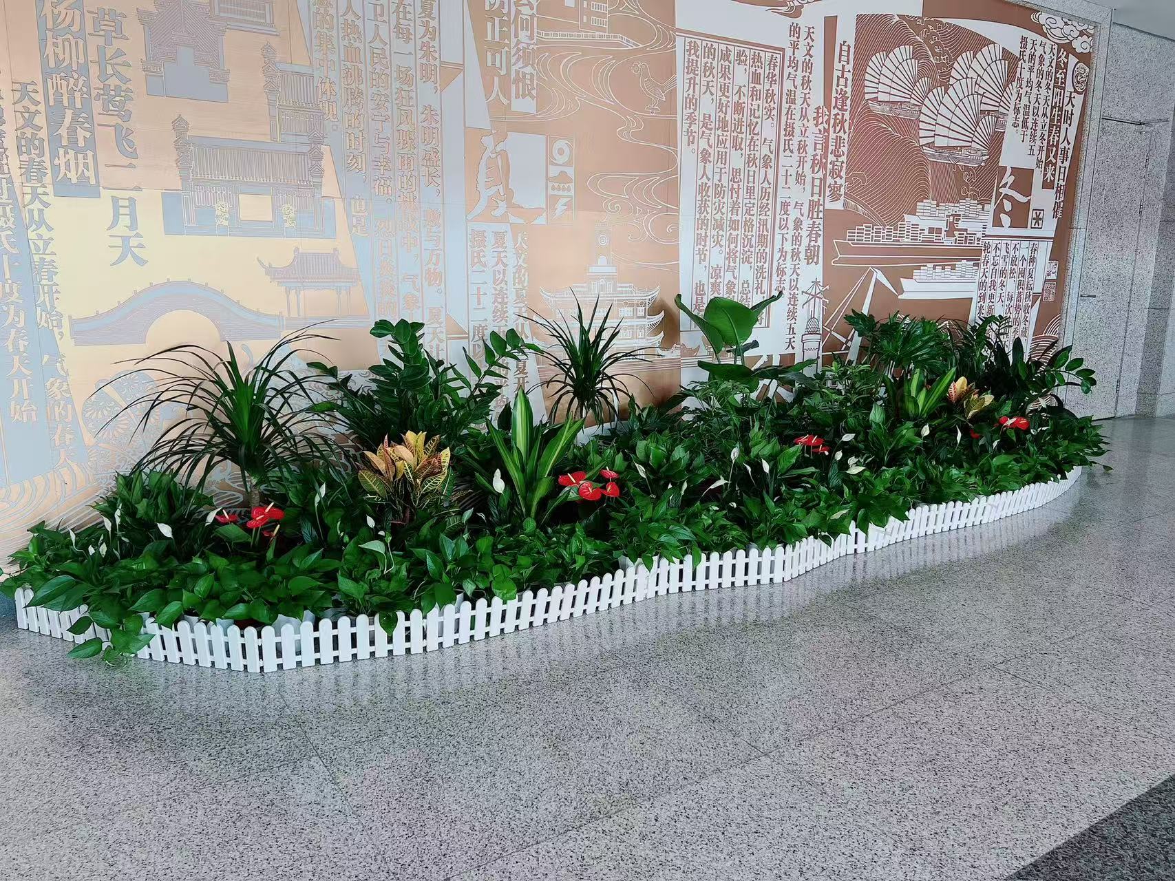 鄞州盆景租赁服务好